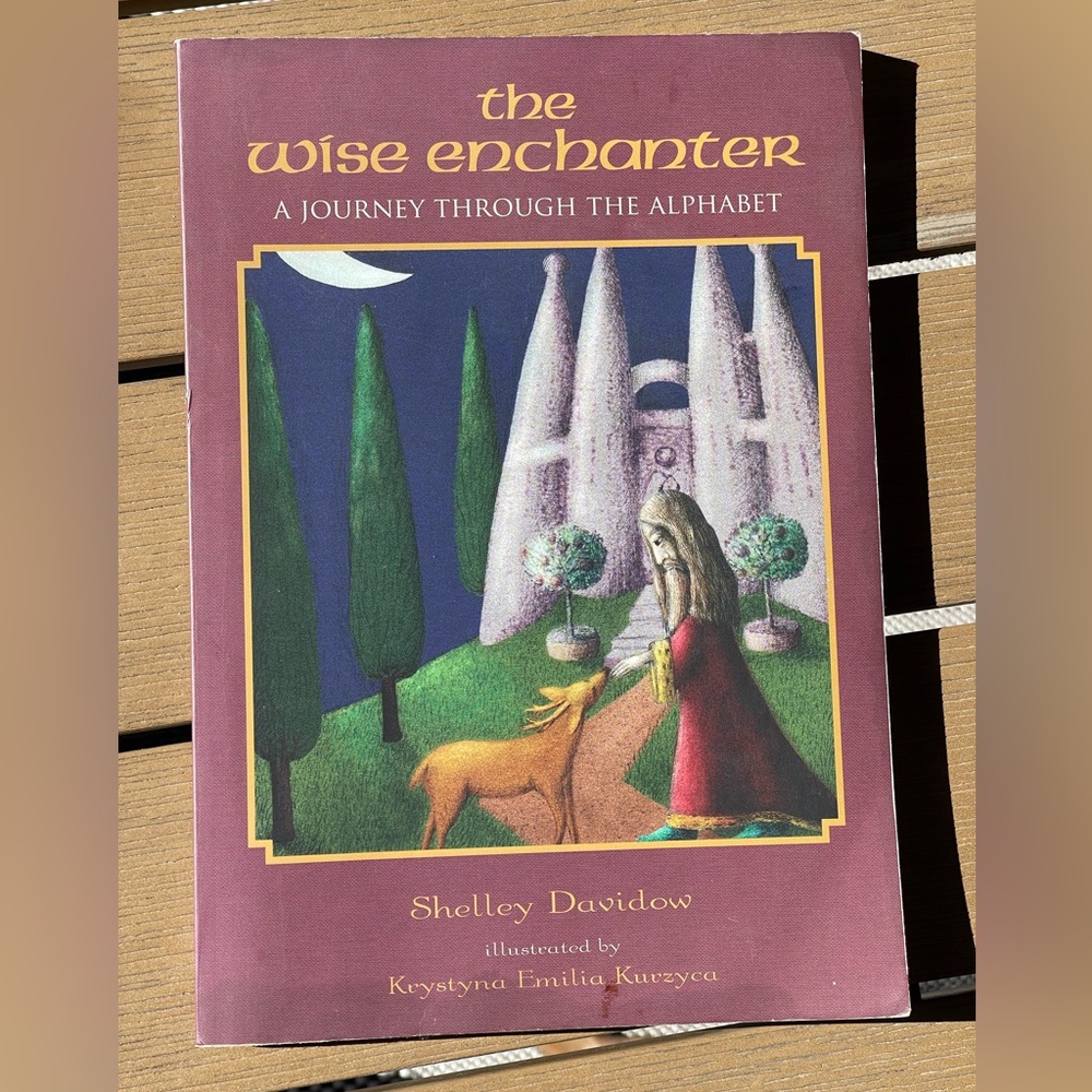 The Wise Enchanter Book